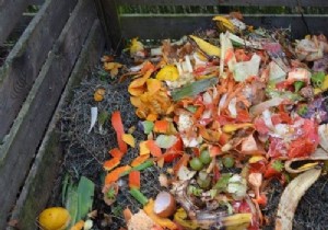 How to Make Homemade Compost in 2 Simple Steps: A Gardener s Guide