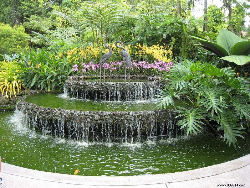 How to Make Homemade Compost in 2 Simple Steps: A Gardener s Guide