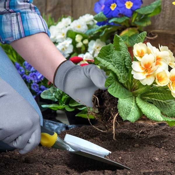 Essential Gardening Accessories: Safety, Comfort, and Tools Every Gardener Needs