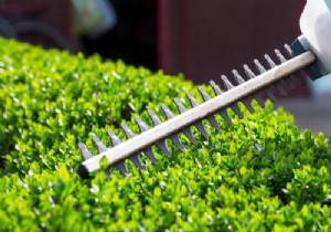 Bosch AHS 54-20 vs AHS 70-34: Top Electric Hedge Trimmers Compared by Experts