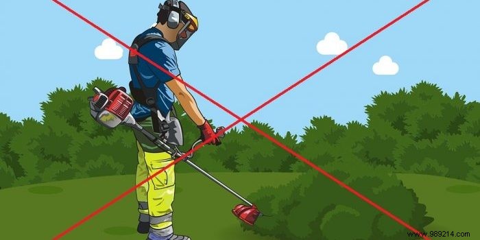 Pesticide-Free Gardening: Proven Natural Alternatives for Healthy Crops