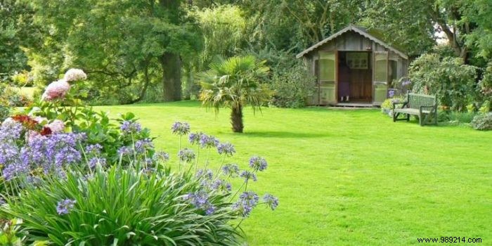 Simplify Large Garden Maintenance: Rent a Mini Tractor for Effortless Results