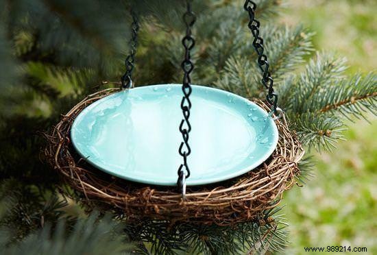 DIY Guide: Build Your Own Backyard Pond on a Budget