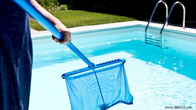 6 Essential Tips for Expert Swimming Pool Maintenance
