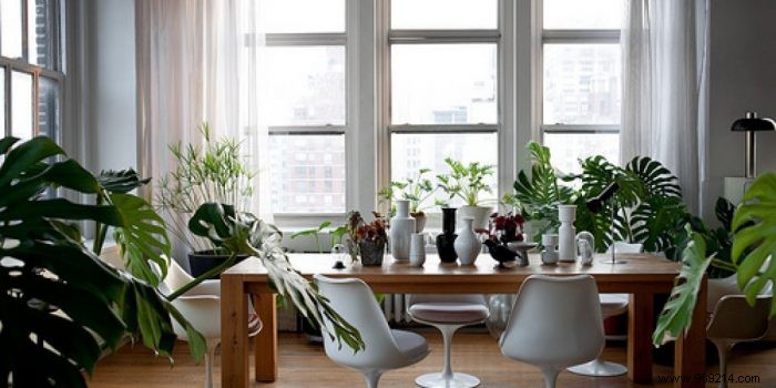 10 Creative Ways to Transform Your Home with Indoor Plants