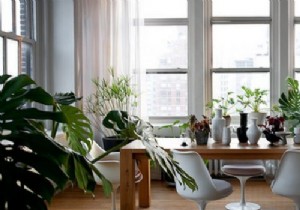 10 Creative Ways to Transform Your Home with Indoor Plants