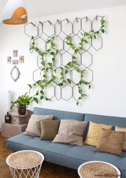 10 Creative Ways to Transform Your Home with Indoor Plants