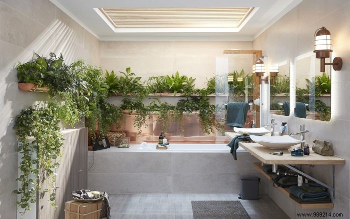 10 Creative Ways to Transform Your Home with Indoor Plants