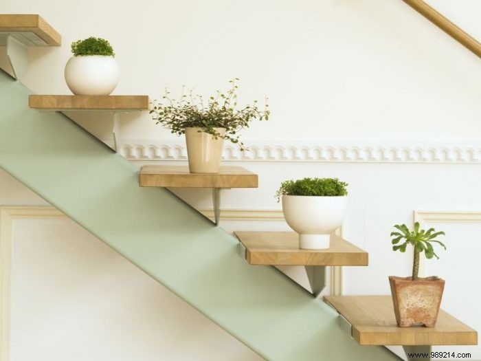 10 Creative Ways to Transform Your Home with Indoor Plants