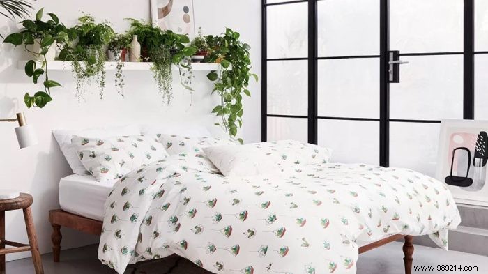 10 Creative Ways to Transform Your Home with Indoor Plants