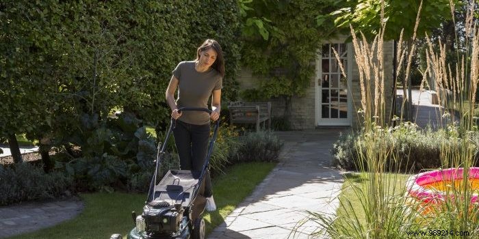 Black+Decker ST5530CM-QS vs AL-KO Combi Care 38 E: Expert Electric Scarifier Comparison