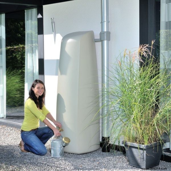 Eco-Friendly Gardening: Install a Stylish Rainwater Collector to Save Water and Money