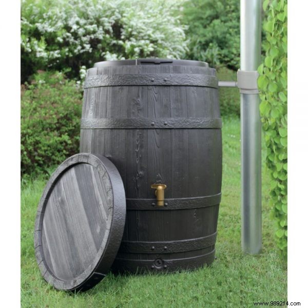Eco-Friendly Gardening: Install a Stylish Rainwater Collector to Save Water and Money