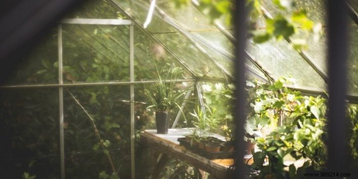 How to Choose the Perfect Grow Room: Expert Tips on Size and Quality