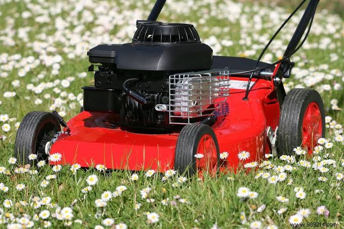 Petrol Mowers: Why They re Ideal for Large Lawns and Top Brands to Buy