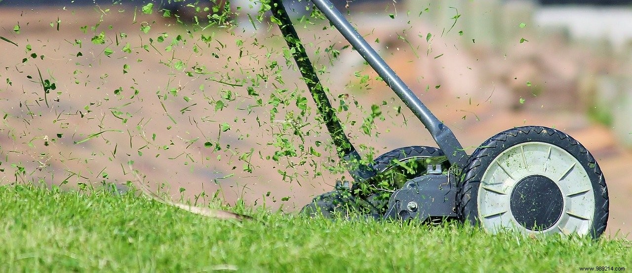 6 Essential Lawn Mower Types for Flawless Garden Maintenance