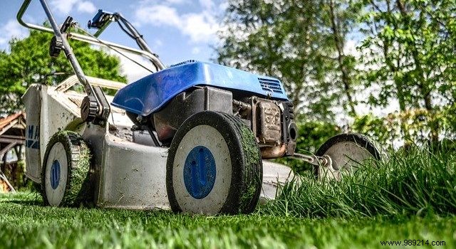 6 Essential Lawn Mower Types for Flawless Garden Maintenance