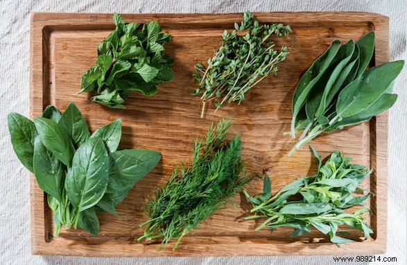 Build Your Own Kitchen Herb Wall: Fresh Herbs for Flavor and Health