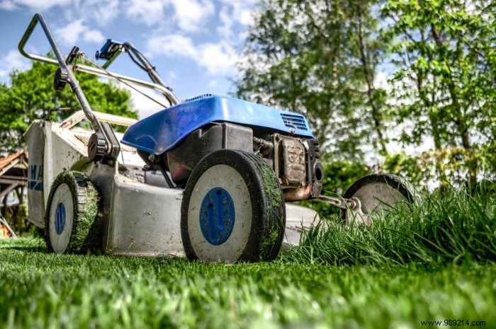 Essential Garden Tools for Professional Lawn Maintenance