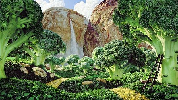 Edible Forests: Building a Thriving, Productive Garden Ecosystem