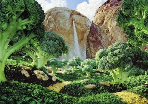 Edible Forests: Building a Thriving, Productive Garden Ecosystem