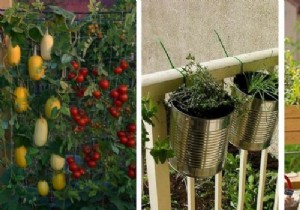 Expert Guide: Grow a Thriving Vegetable Garden on Your Balcony