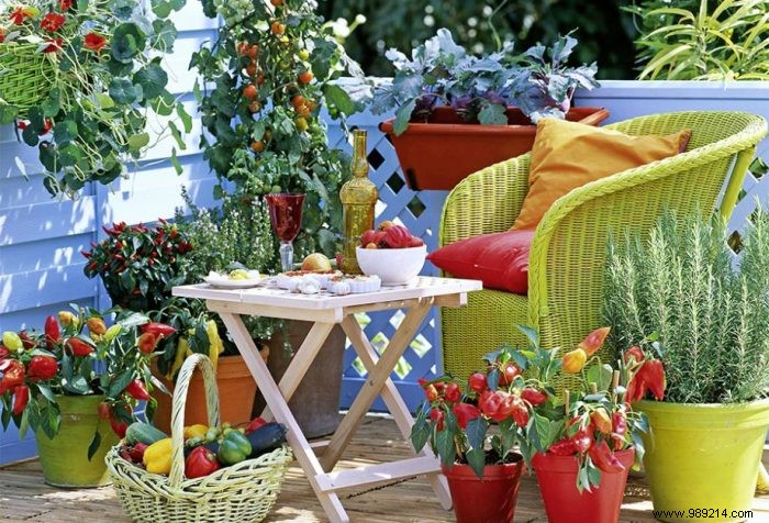 Expert Guide: Grow a Thriving Vegetable Garden on Your Balcony