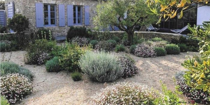 Expert Guide: How to Create a Low-Maintenance Dry Garden at Home