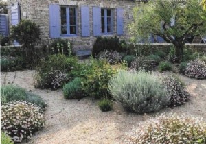 Expert Guide: How to Create a Low-Maintenance Dry Garden at Home