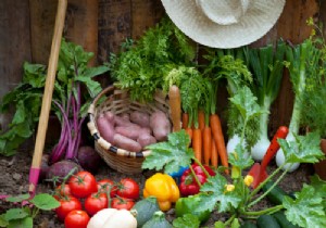 Expert Guide: How to Build a Thriving Organic Vegetable Garden at Home