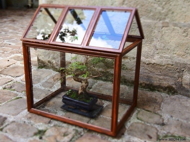 How to Build a Mini Greenhouse: Simple DIY Projects for Small Gardens