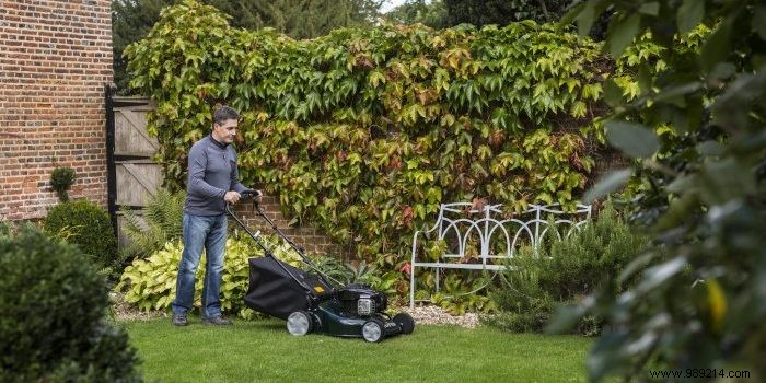 Types of Garden Scarifiers: Manual, Electric, and Petrol Models for Optimal Lawn Care