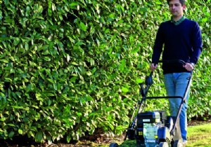 Electric vs. Thermal Scarifier: Which is Best for Your Lawn?