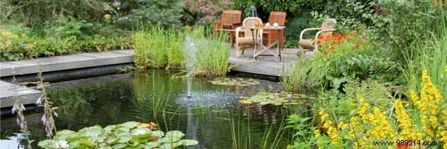 Expert Guide: How to Integrate a Thriving Fish Pond into Your Garden