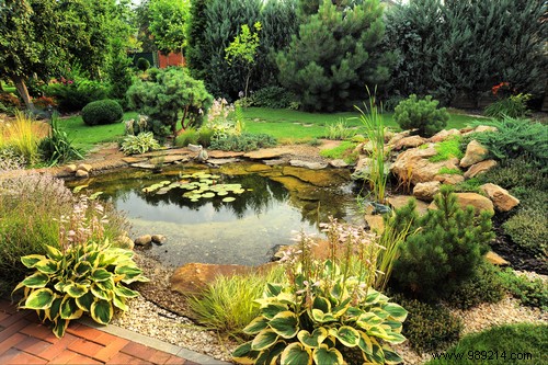 Expert Guide: How to Integrate a Thriving Fish Pond into Your Garden