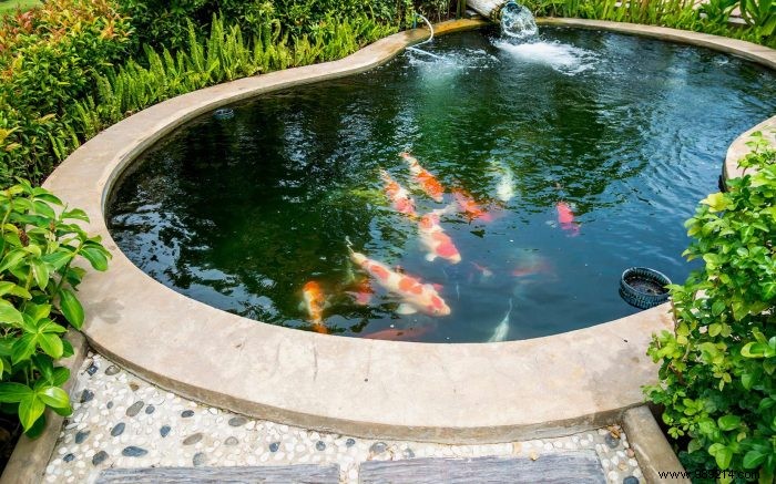 Expert Guide: How to Integrate a Thriving Fish Pond into Your Garden