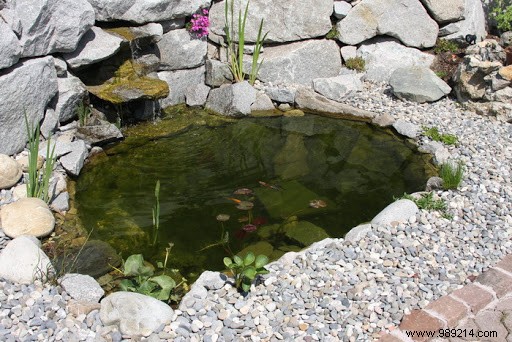 Expert Guide: How to Integrate a Thriving Fish Pond into Your Garden