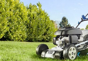 Stihl vs. Honda Petrol Lawn Mowers: Expert Comparison to Help You Choose