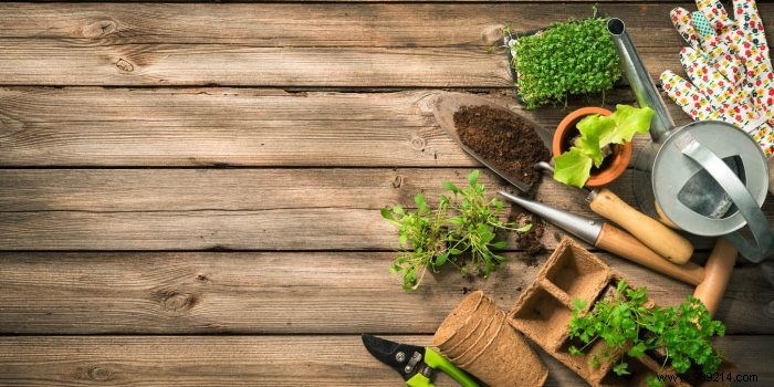How to Winterize Garden Tools: Expert Tips for Year-Round Protection