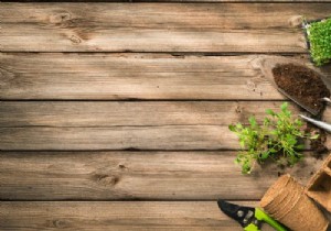 How to Winterize Garden Tools: Expert Tips for Year-Round Protection