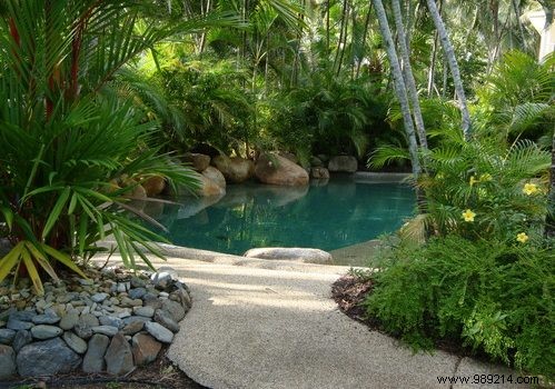 UV Pond Lamps: Expert Insights on Installation, Costs, and User Reviews