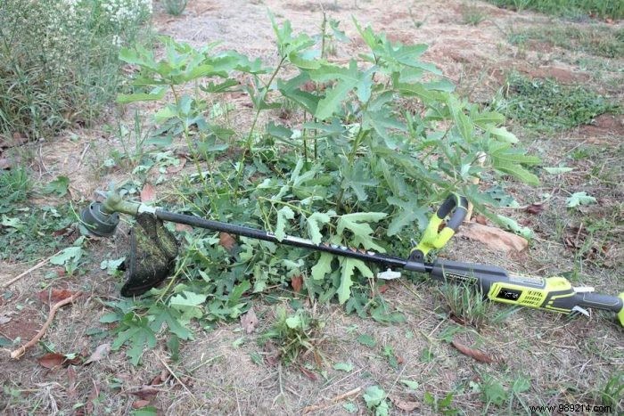 Rotofil Edger: Essential Uses and Key Advantages for Professional Garden Finishing