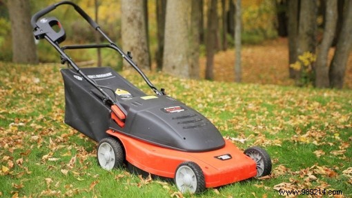 Petrol Lawn Mowers: Pros, Cons, and Expert Advice for Your Garden