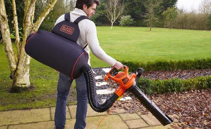 Everything You Need to Know About Gas-Powered Leaf Blowers
