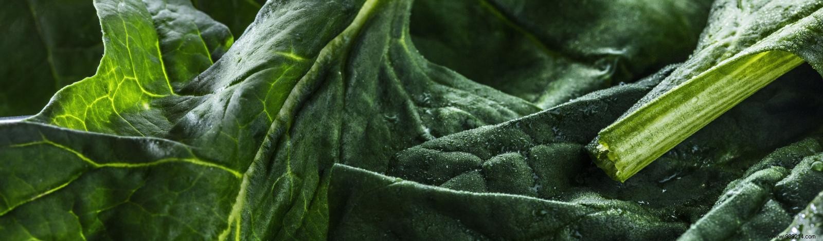 When and How to Sow Spinach: Expert Guide for Success