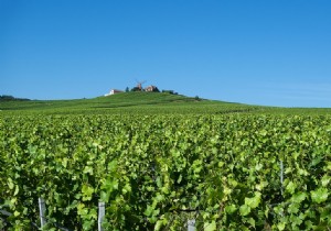 Top Things to Do in Reims: Ultimate Guide to Activities and Adventures