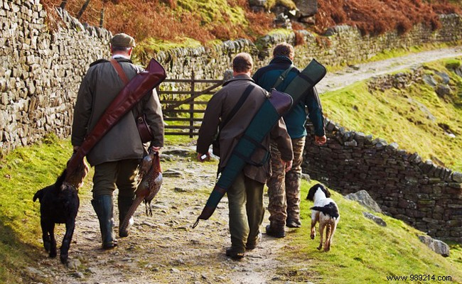 Safeguarding Your Home: Expert Storage Solutions for Firearms and Hazardous Chemicals