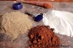 The Living Earth Guide: Creating Healthy, Natural Homes with Eco-Friendly Materials