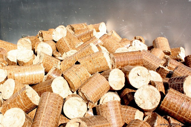 Wood Stove vs. Pellet Stove: Key Differences, Pros, and How to Choose Wisely