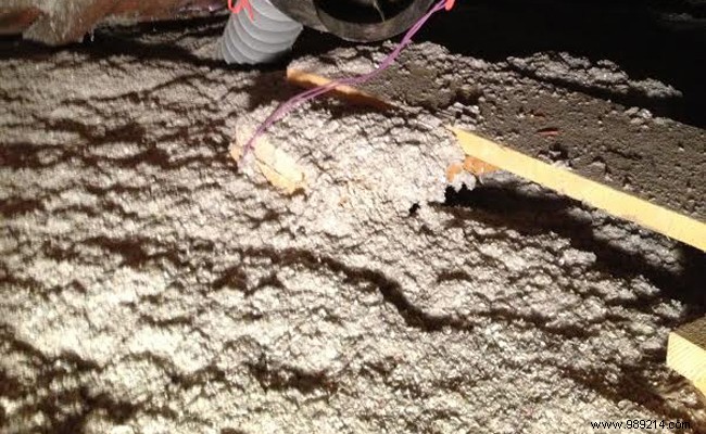 Best Natural and Eco-Friendly Materials for Attic Insulation: Expert Recommendations